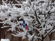 storm 02-25-15