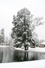 storm 02-25-15
