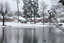 storm 02-25-15